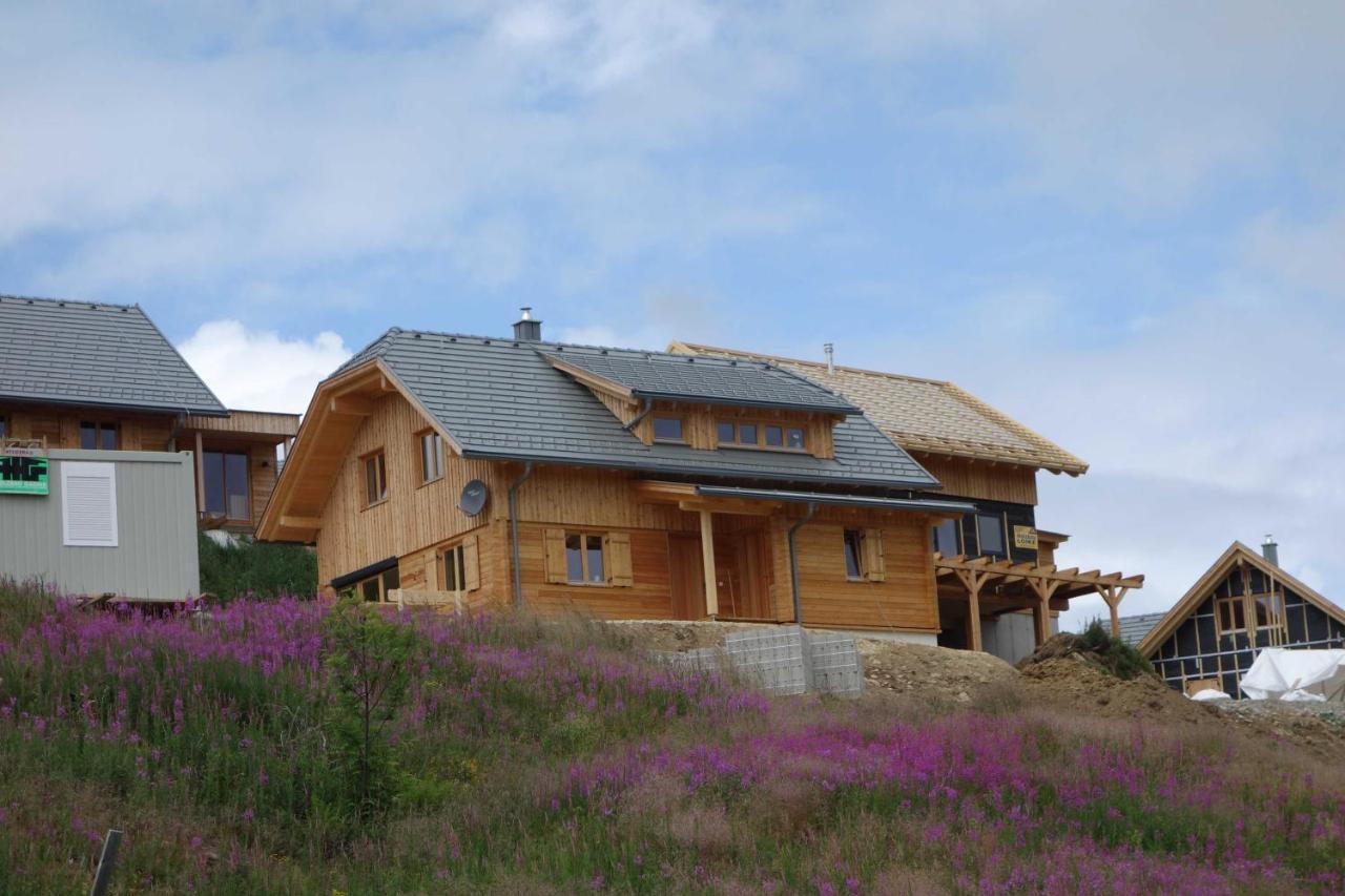 Ferienhaus Murmeltier Am Klippitztoerl Klippitztorl エクステリア 写真